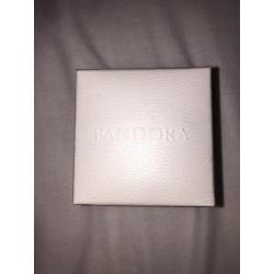 pandora charm