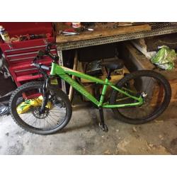 Kids Carrera mountain bike