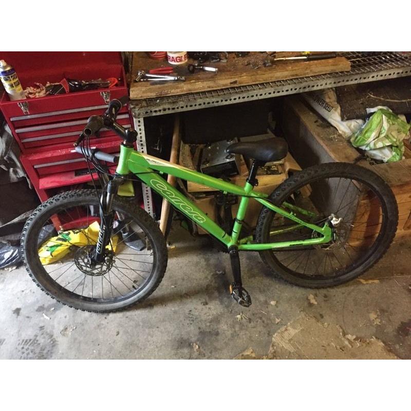Kids Carrera mountain bike