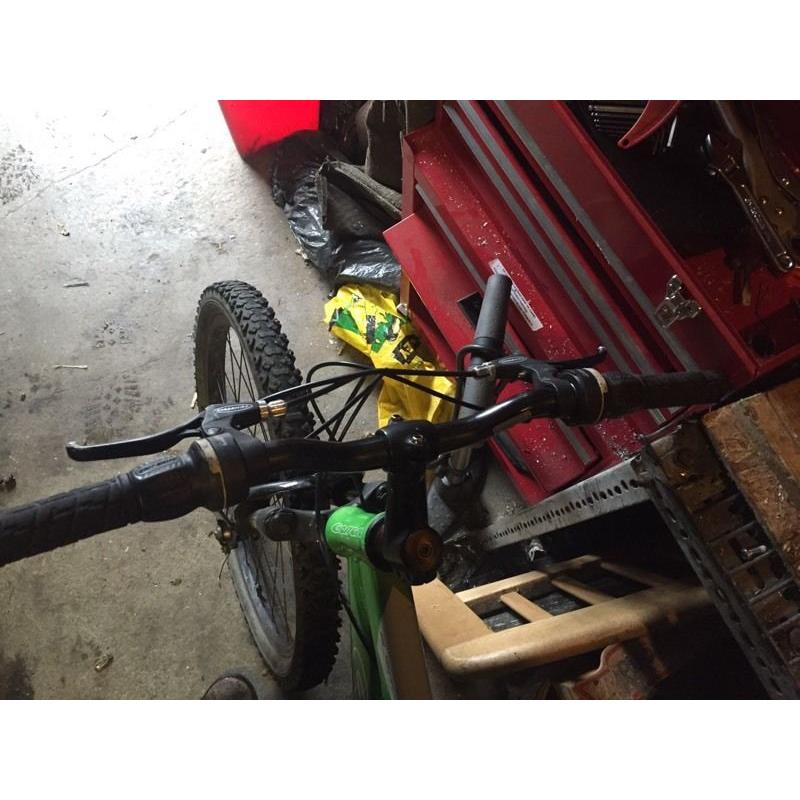Kids Carrera mountain bike