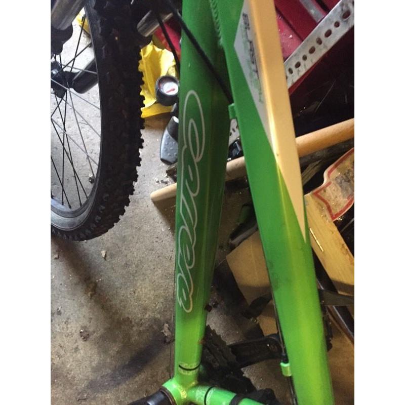 Kids Carrera mountain bike
