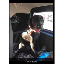 DOUBLE BEDROOM ALLOW DOG