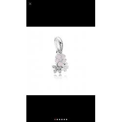 Pandora charms