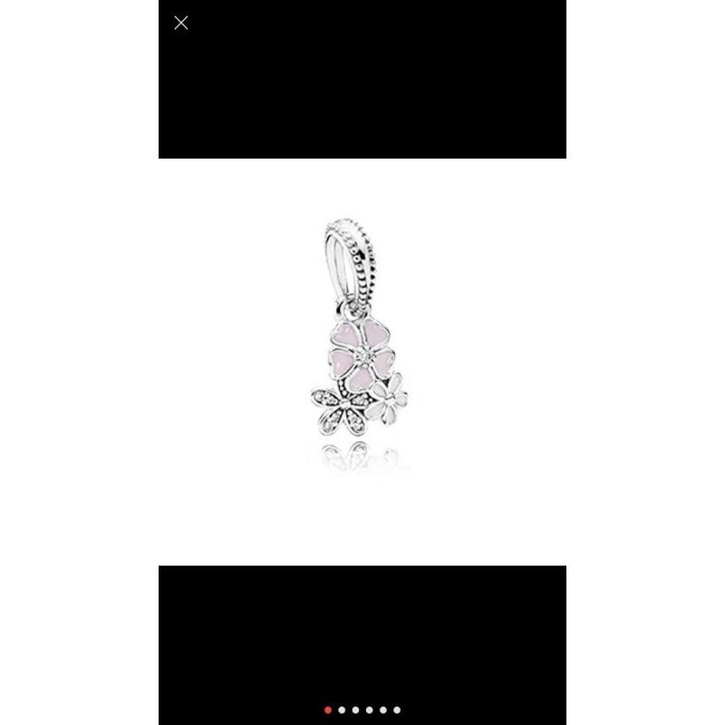 Pandora charms