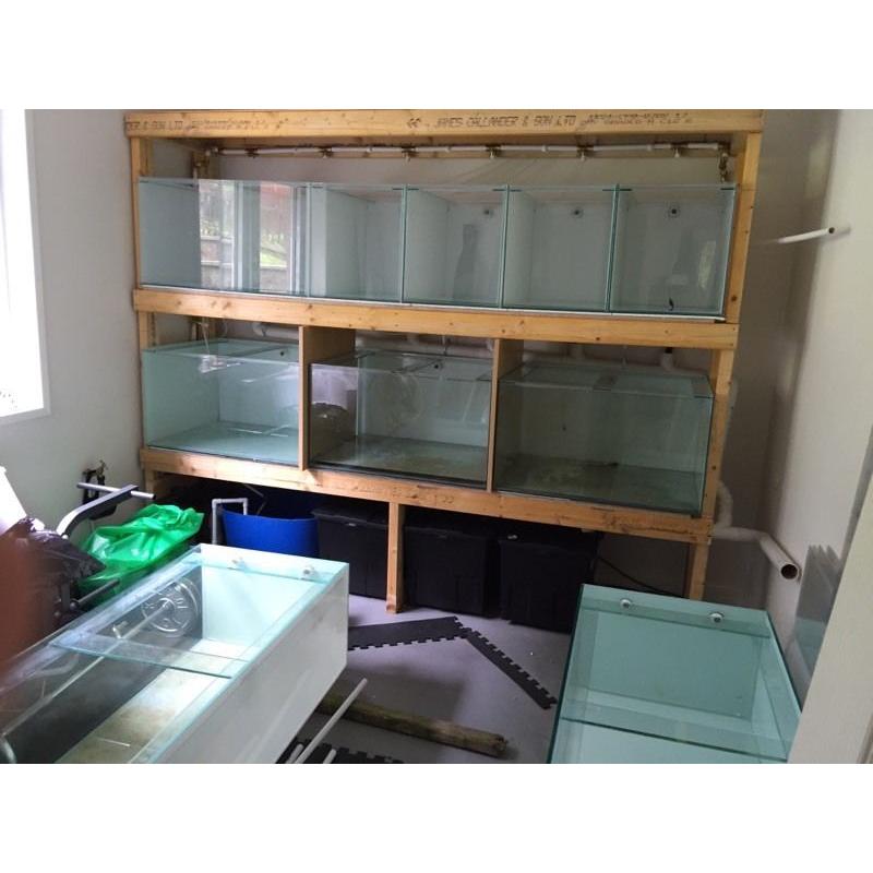 Various fish tanks for sale breeding tank READ AD FOR PRICES