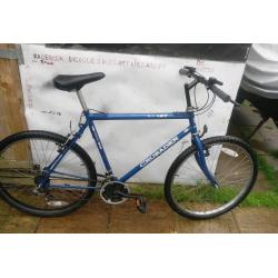 Mountain bike blue