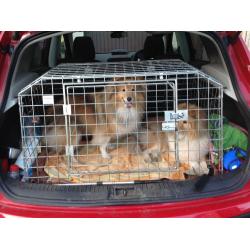 Dog cage for Qashqai, takes 2 small dogs. Emergency escape door at back.