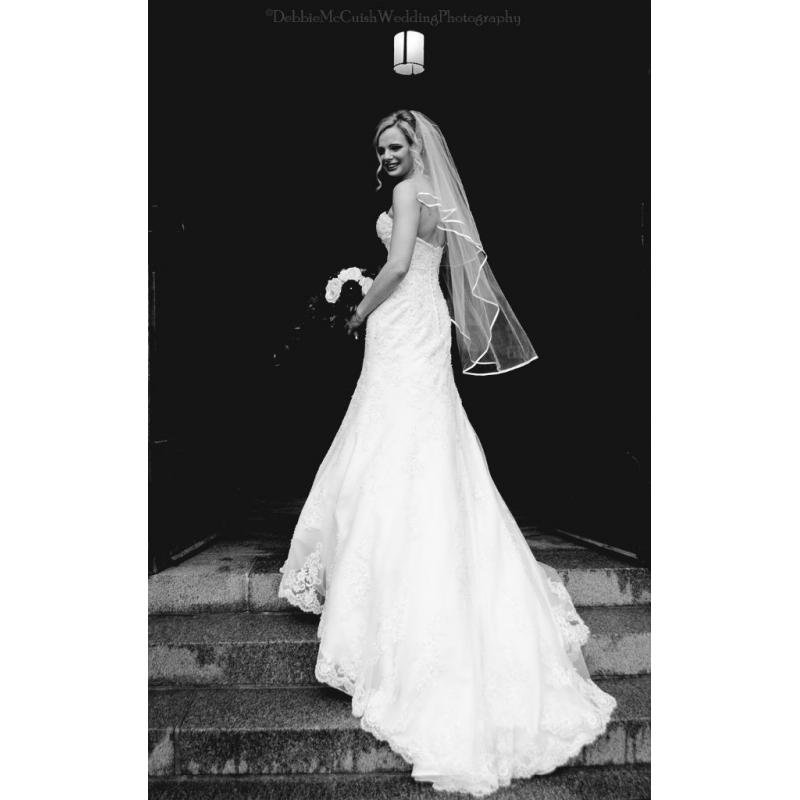 Wedding and Elopement Photographer.
