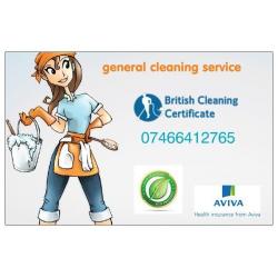 General cleaning services