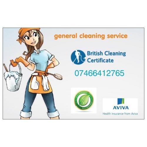 General cleaning services
