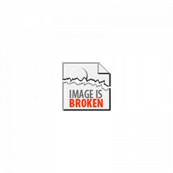 Timber Work Bench with Wood Vice