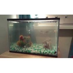 Fish Tank