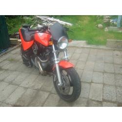 Buell Cyclone 1999