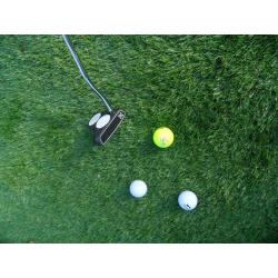 Putter Odyssey
