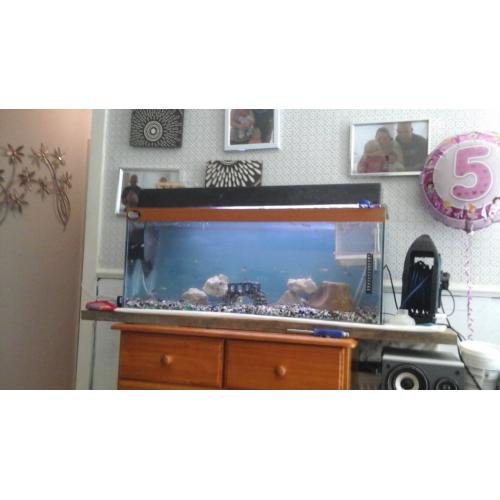 3ft fish tank with fish comes with pump hater hood and fish