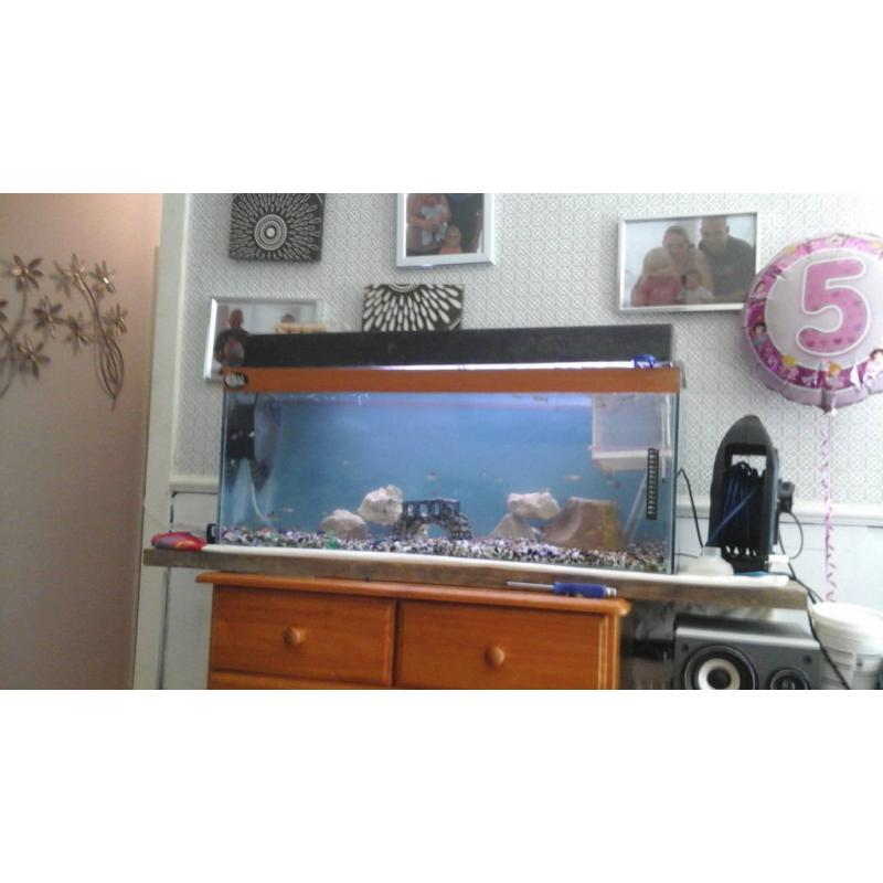 3ft fish tank with fish comes with pump hater hood and fish