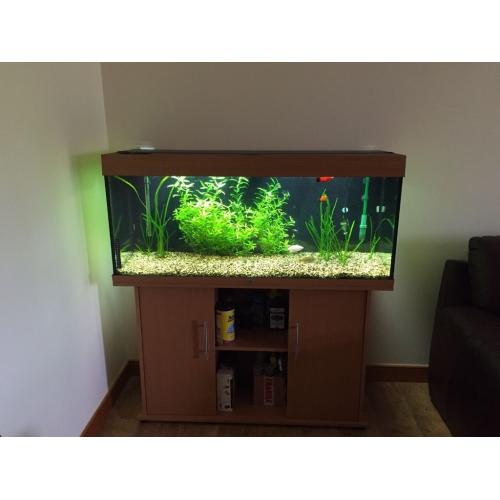 Juwel Rio 240l aquarium + stand + accessories + fish