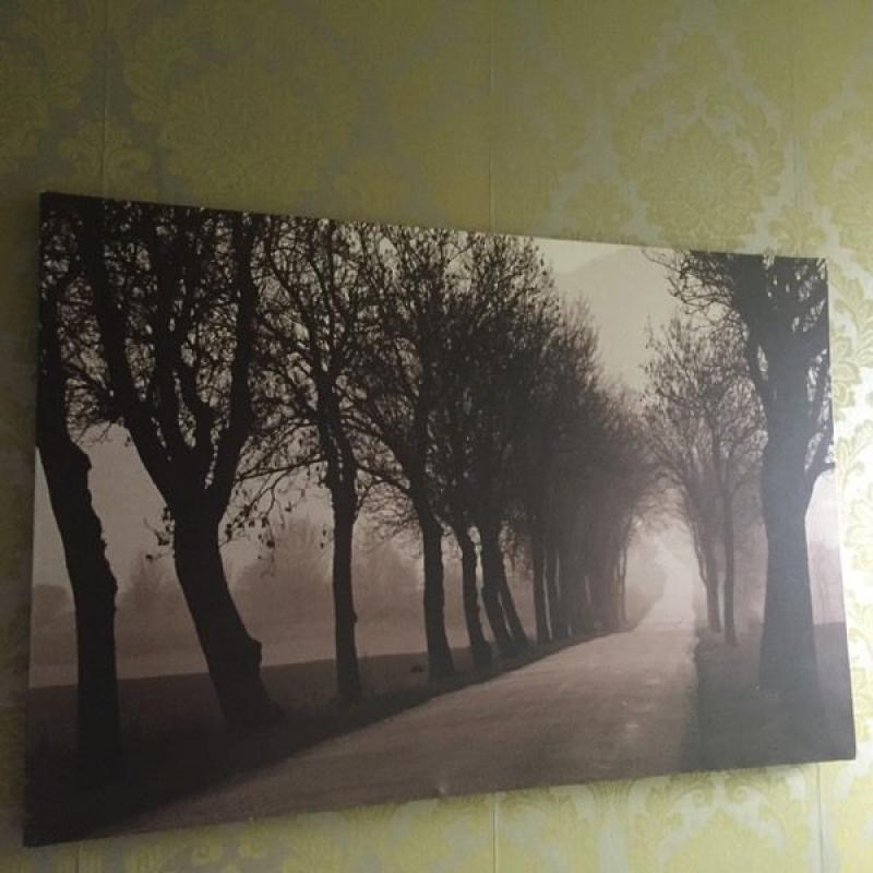 Large canvas woodland scene print