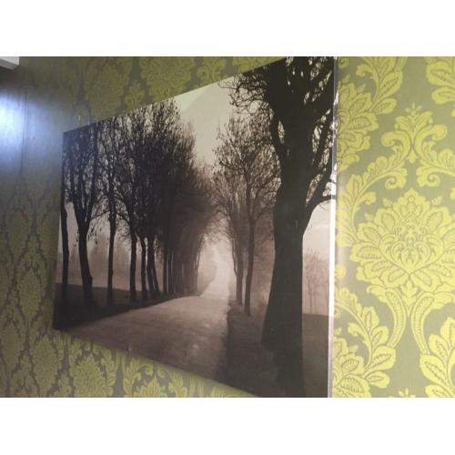 Large canvas woodland scene print