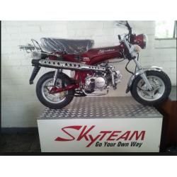 Skyteam Skymax 124cc 125 Naked 125. Mini Bike