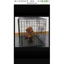 Small dog training cage