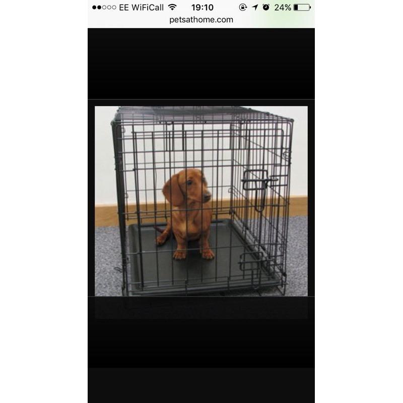 Small dog training cage