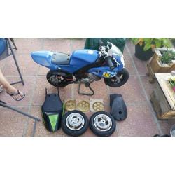 Polini gp2