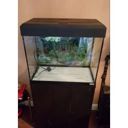 Fluval Roma 90 Fish tank