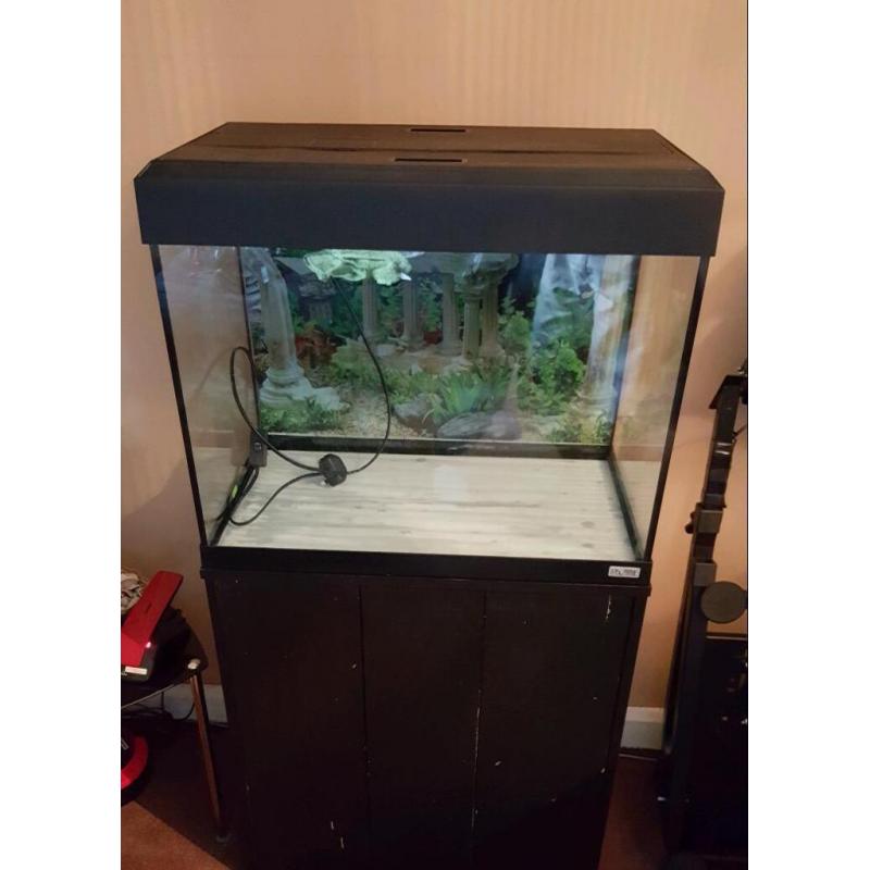 Fluval Roma 90 Fish tank