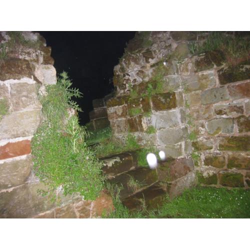 Ghosthunters Wanted