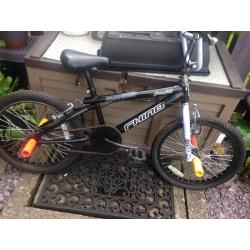 Rhino Freefall BMX 11" frame