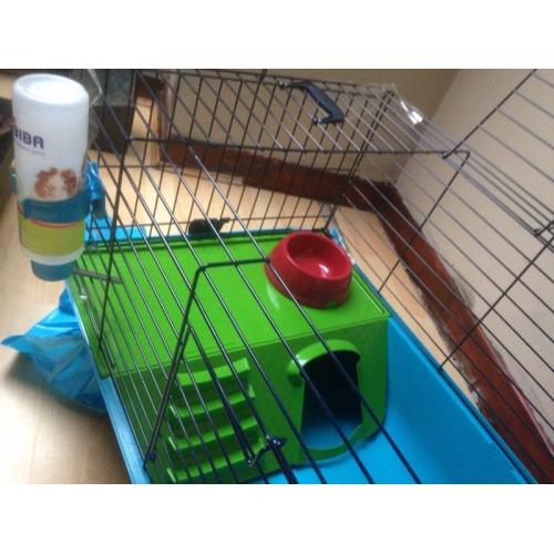 Guinea pig cage