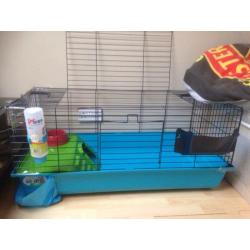 Guinea pig cage