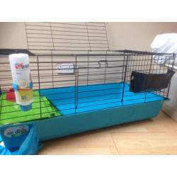 Guinea pig cage