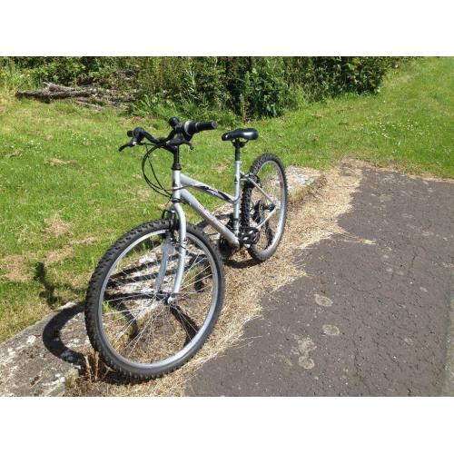 womans bicycle