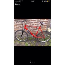 Mountain bike (urgent)