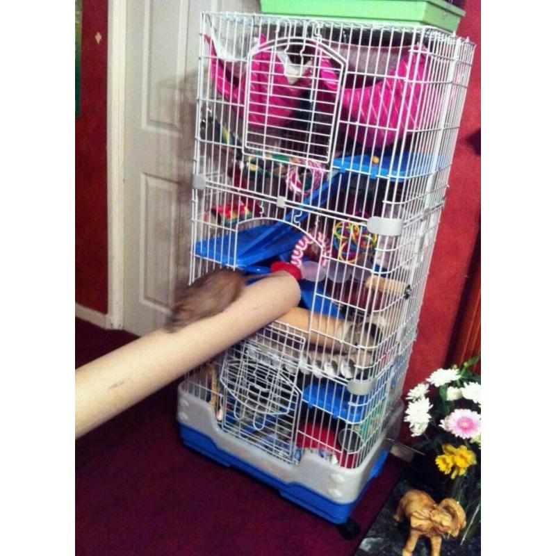 3 tier rodent cage