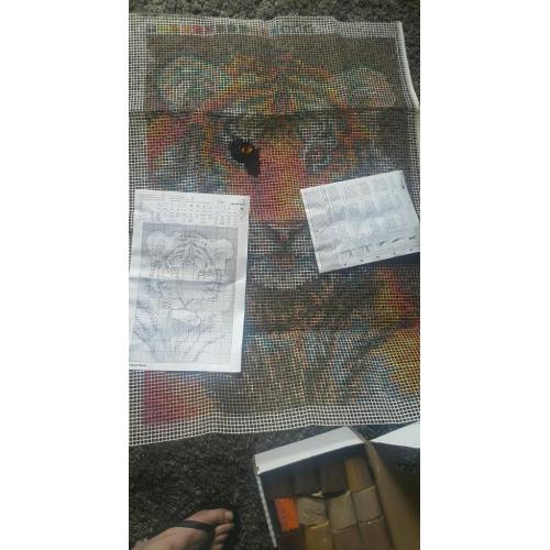 Latch Hook Chrochet Kit