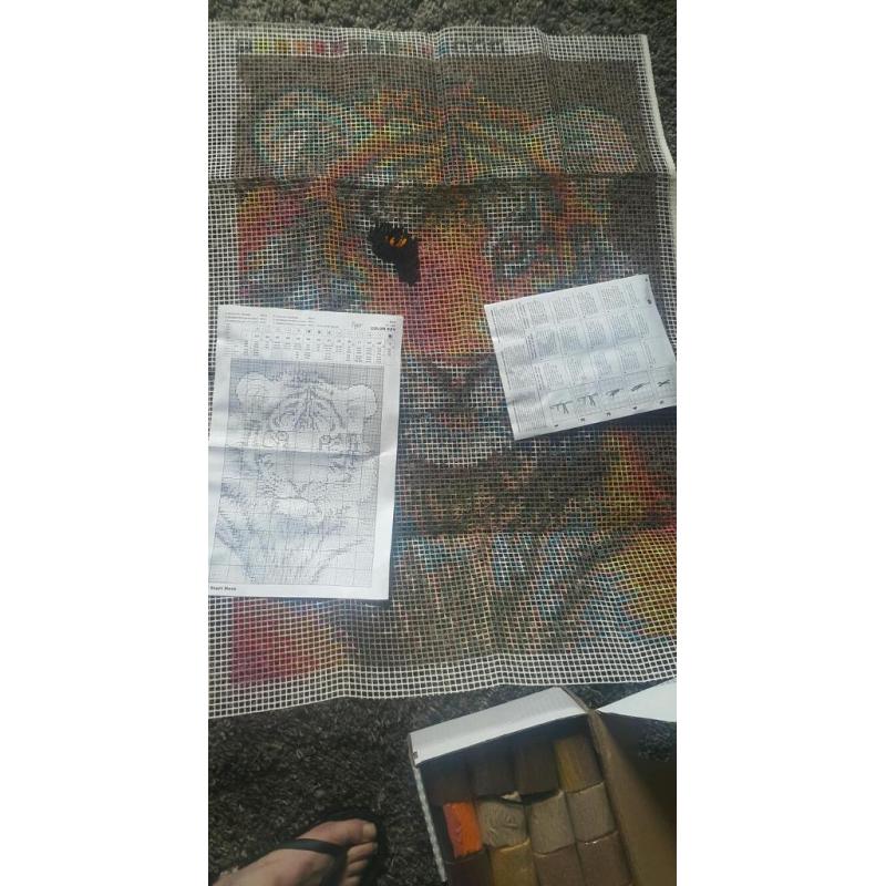 Latch Hook Chrochet Kit
