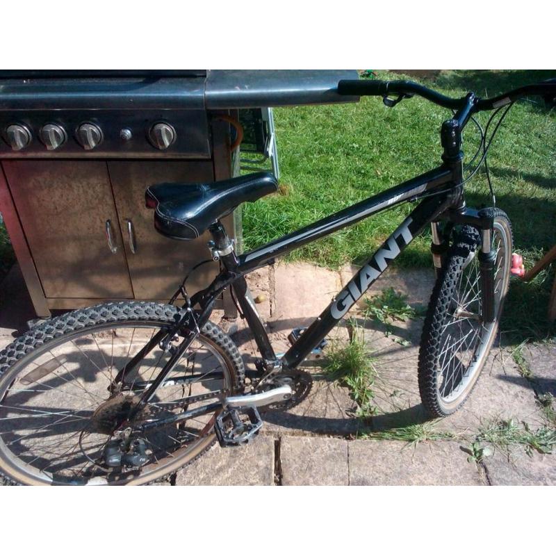 Giant Boulder mtb