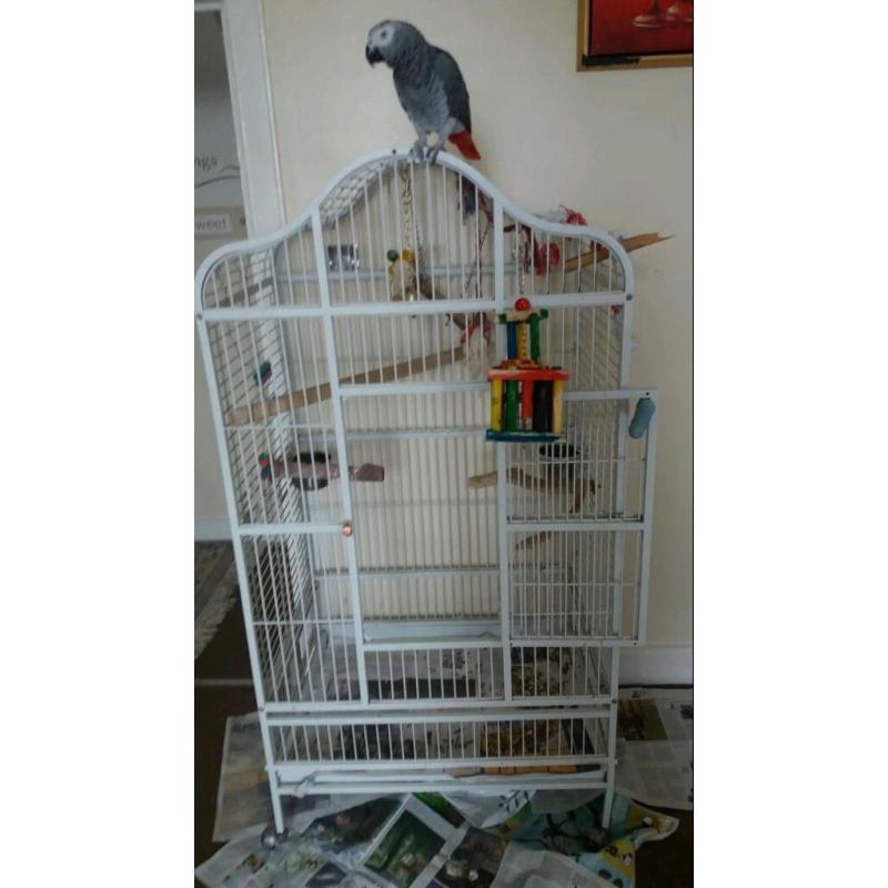 Large parrot cage only