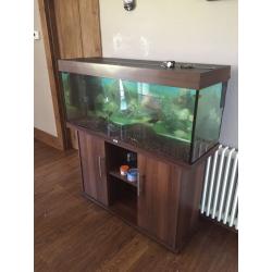 4ft fish tank