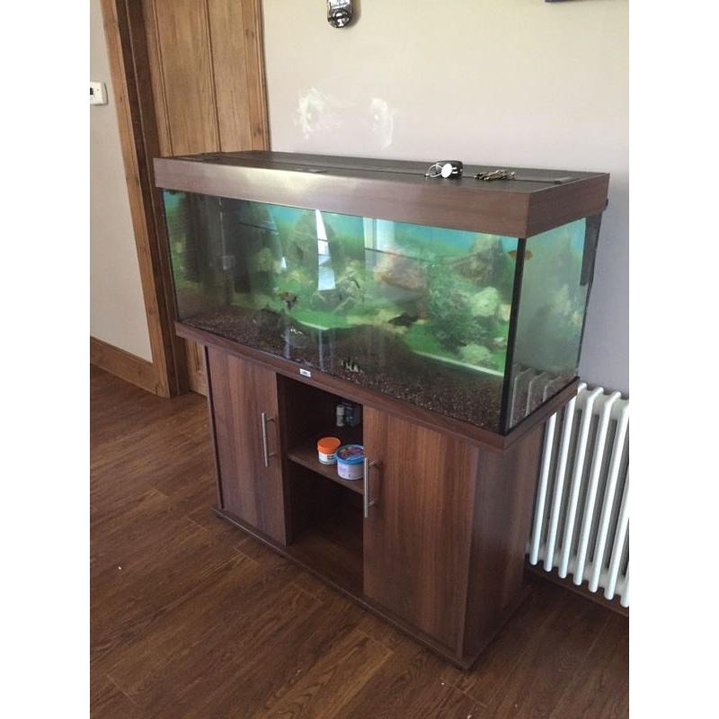 4ft fish tank