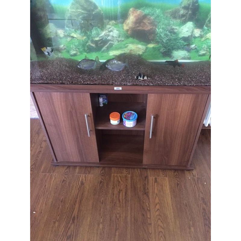 4ft fish tank