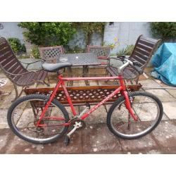saracen mountain bike