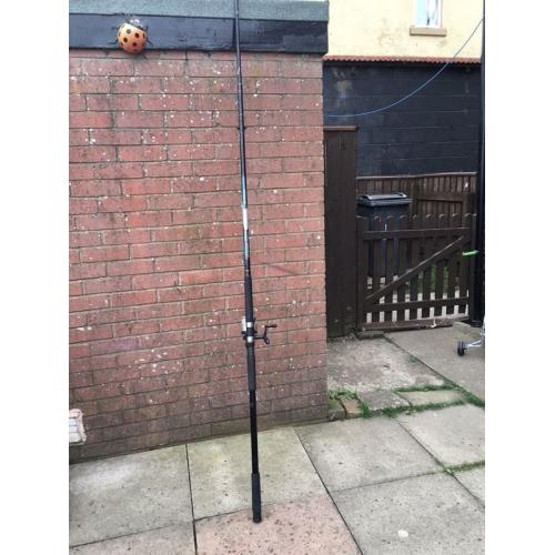 Rod and reel