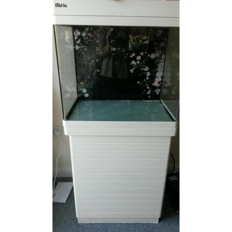 Red Sea max fish tank