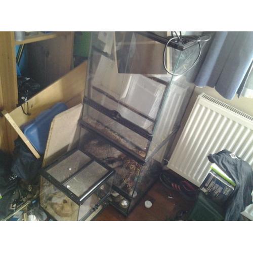 reptile equipment