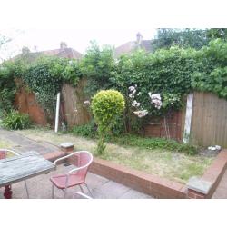 Single Room in a large House with Garden
