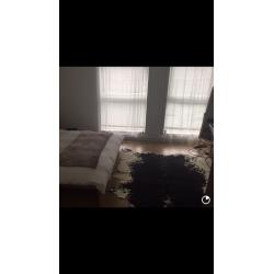 Authentic cow hide rug - black and white